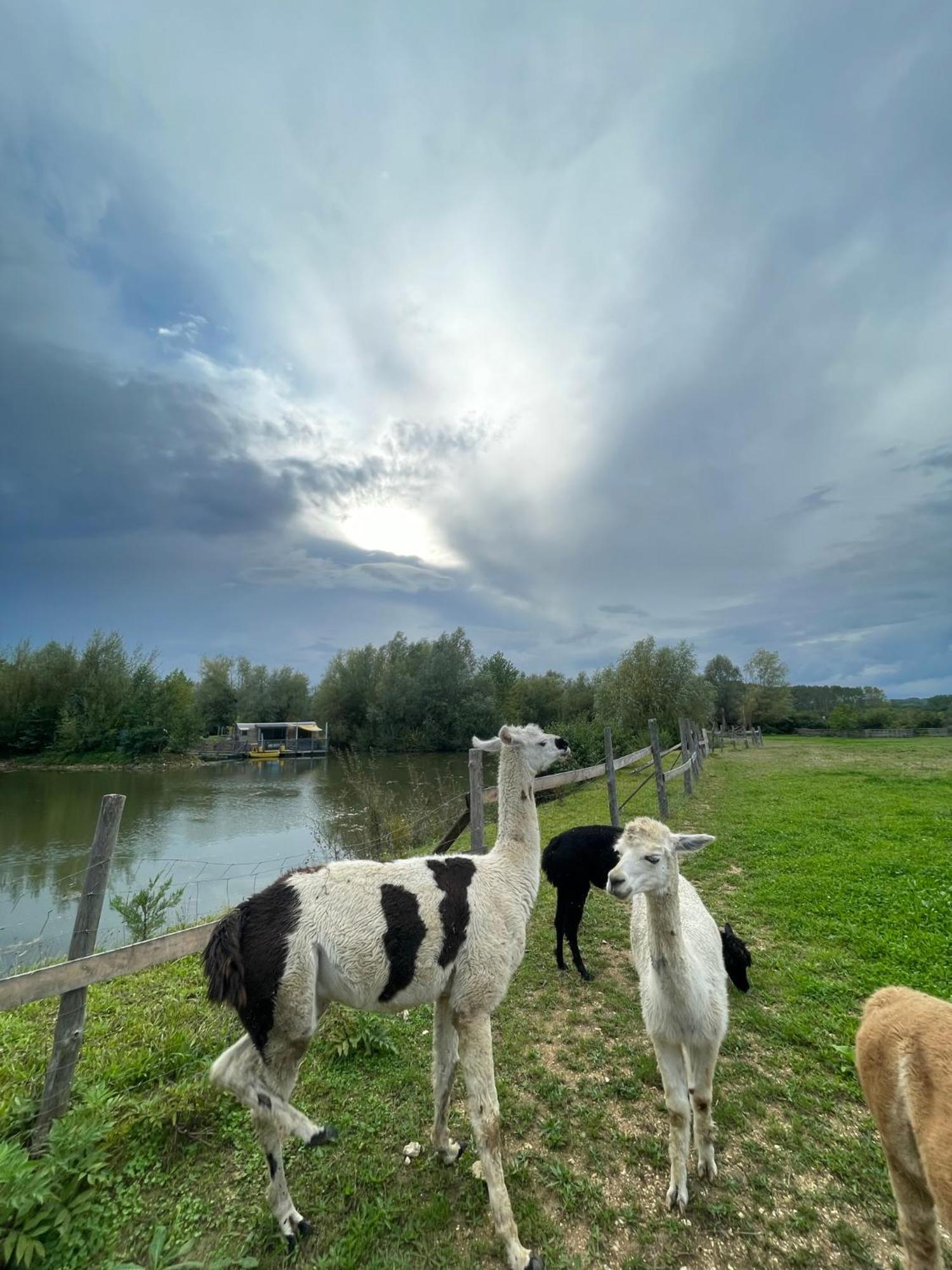 Lodges Des Grands Crus Шабли Екстериор снимка